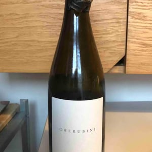 Subsidium - Cherubini - Mattia Corbellini 