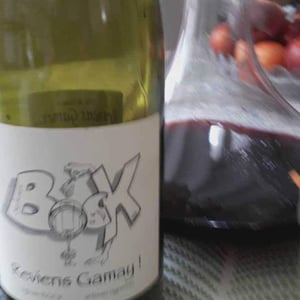 Reviens Gamay