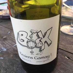 Reviens Gamay 2015