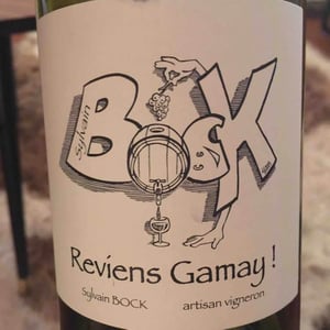 Sylvain Bock - Sylvain Bock - Reviens Gamay !