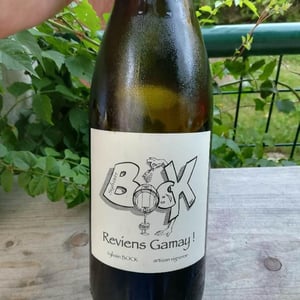 Reviens Gamay 2017