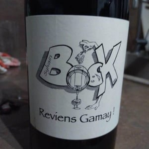 Sylvain Bock - Sylvain Bock - Reviens Gamay !