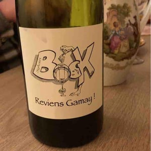Sylvain Bock - Sylvain Bock - Reviens Gamay !