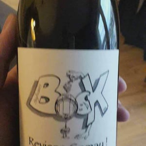 Sylvain Bock - Sylvain Bock - Reviens Gamay !