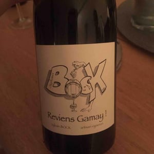 Sylvain Bock - Sylvain Bock - Reviens Gamay !
