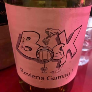 Sylvain Bock - Sylvain Bock - Reviens Gamay !