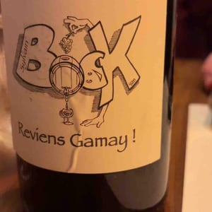 Reviens Gamay ! - Sylvain Bock - Sylvain Bock 