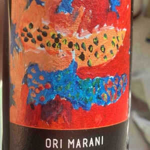 Revoir un Printemps - Ori Marani - bastien-warskotte-nino-gvantseladze -2019
