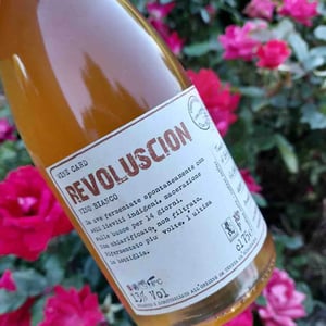 Revoluscion - Tenuta Ca’ Sciampagne - Leonardo Cossi, Paola Grillo 