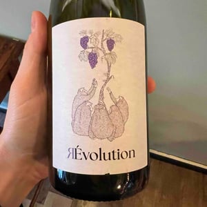 RÈvolution - Oenosapiens - federico-bezzi-filippo-grape-giacomo-minella -2021
