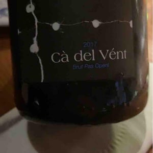 Revolution (Brut Pas Operé) - Cà del Vént - Antonio Tornincasa & Flavio Faliva 