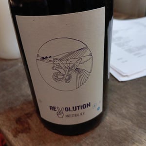 Revolution White Solera - Bioweingut Johannes Zillinger - Johannes Zillinger 