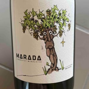 Révovous - Vinařství Petr Marada - petr-marada