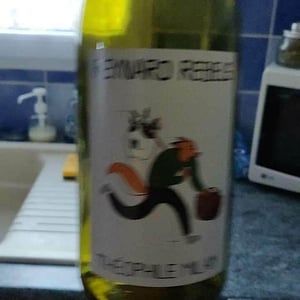 Domaine Milan - Emma, Théophile & Henri Milan - Reynard Rebels