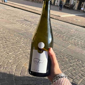 RiFol 2019 - Azienda Agricola Ezio Cerruti - Ezio Cerruti