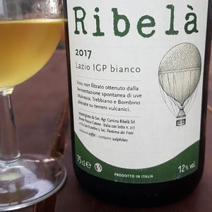 Ribelà - bianco - Cantina Ribelà - chiara-bianchi-daniele-presutti