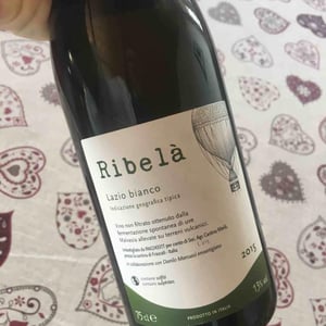 Ribelà - bianco - Cantina Ribelà - chiara-bianchi-daniele-presutti