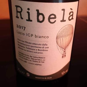 Ribelà - bianco - Cantina Ribelà - Chiara Bianchi & Daniele Presutti 