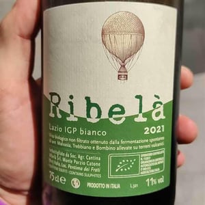 Ribelà - bianco - Cantina Ribelà - chiara-bianchi-daniele-presutti