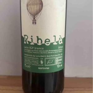 Ribelà - bianco - Cantina Ribelà - chiara-bianchi-daniele-presutti