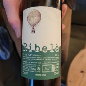 Ribelà - bianco - Cantina Ribelà - Chiara Bianchi & Daniele Presutti 