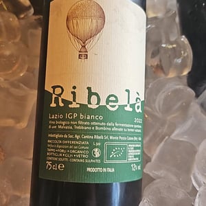 Ribelà - bianco - Cantina Ribelà - Chiara Bianchi & Daniele Presutti 