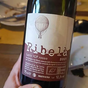 Ribelà - rosso - Cantina Ribelà - Chiara Bianchi & Daniele Presutti 