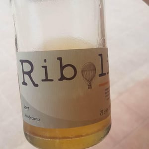 Ribolie - Cantina Ribelà - chiara-bianchi-daniele-presutti