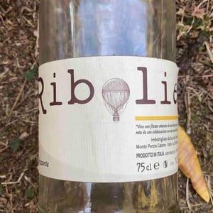 Ribolie - Cantina Ribelà - chiara-bianchi-daniele-presutti