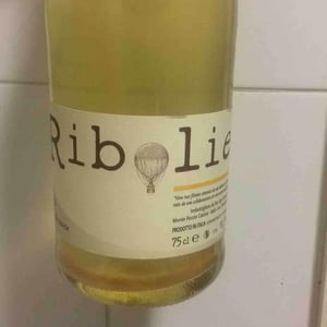 Ribolie - Cantina Ribelà - Chiara Bianchi & Daniele Presutti 