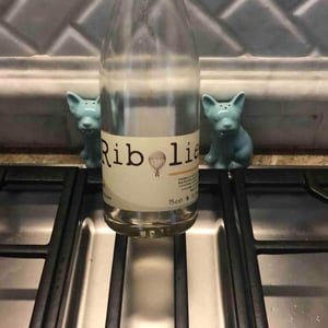 Ribolie - Cantina Ribelà - Chiara Bianchi & Daniele Presutti 