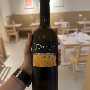 Ribolla Gialla - Damijan Podversic - damijan-podversic