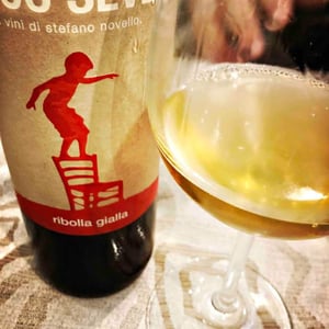 Ribolla Gialla - Ronco Severo - stefano-novello