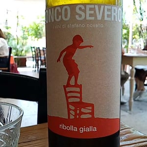 Ribolla Gialla - Ronco Severo - Stefano Novello 