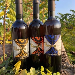 Ribolla Gialla, Jacot, Sauvignon - Azienda Agricola Franco Terpin - Franco Terpin 