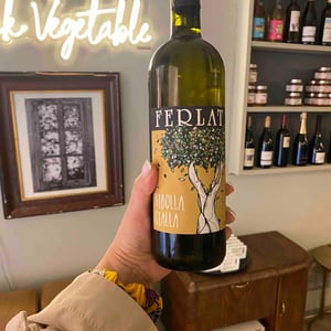 Ribolla Gialla - Società Agricola Silvano Ferlat - moreno-ferlat