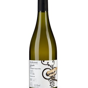 Ribolla Gialla - Marco Sara - marco-sara