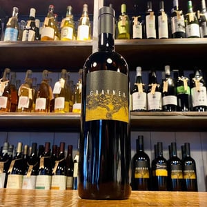 Ribolla - Azienda Agricola Gravner Francesco - josko-gravner
