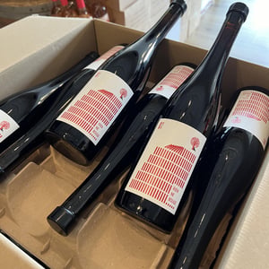 Rien Ne Bouge - Vignoble du Rêveur - mathieu-deiss-emmanuelle-milan