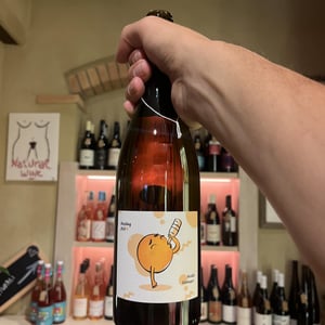 Riesling - Weingut Kissinger - Moritz Kissinger -2021