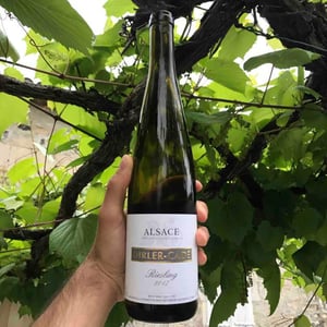 Riesling - Dirler-Cadé - jean-ludivine-dirler