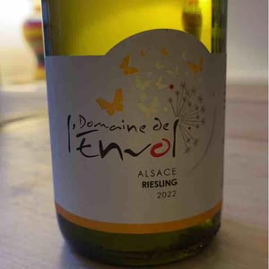 Riesling - Domaine De L’envol - Bernard, Manuela, Daniel, Raphaël & Catherine Hirsinger 
