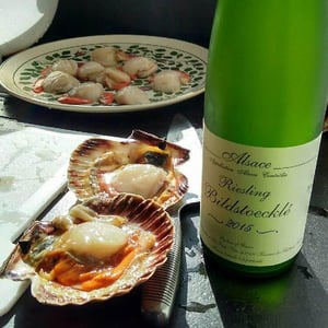 Riesling Bildstoecklé - Gérard Schueller & Fils - Bruno Schueller 