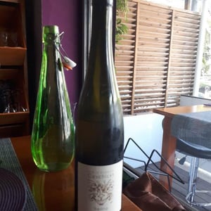 Riesling - Domaine Geschickt - Arnaud Geschickt & Aurélie Fayolle 