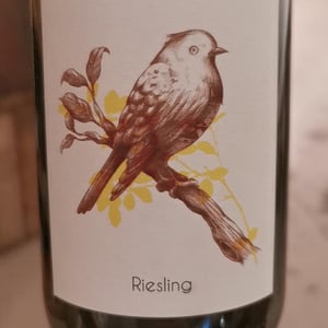 Riesling - Domaine Geschickt - arnaud-geschickt-aurelie-fayolle