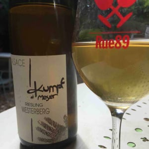 Riesling - Kumpf & Meyer - Julien Albertus 
