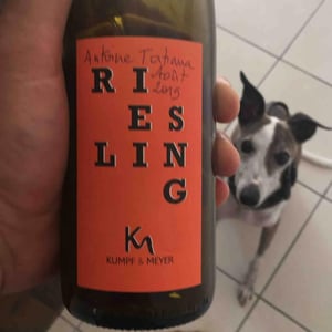 Riesling 2016