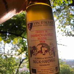 Riesling Dambach - Florian & Mathilde Beck-Hartweg - Florian & Mathilde Beck-Hartweg 