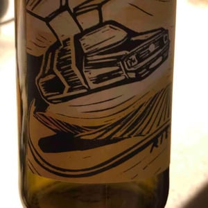 Riesling Free - Dry - Brand Bros - Weingut Brand - Daniel & Jonas Brand 