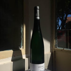 Riesling vom roten Schiefer - Weingut Clemens Busch - clemens-rita-busch -2020